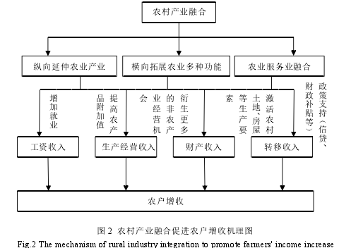 图 2 农村产业融合促进农户增收机理图