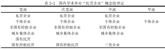 表 2-1 国内学术界对“民营企业”概念的界定