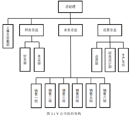 图 2.1 V 公司组织架构