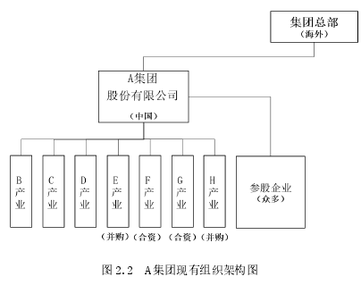 图 2.2 A 集团现有组织架构图