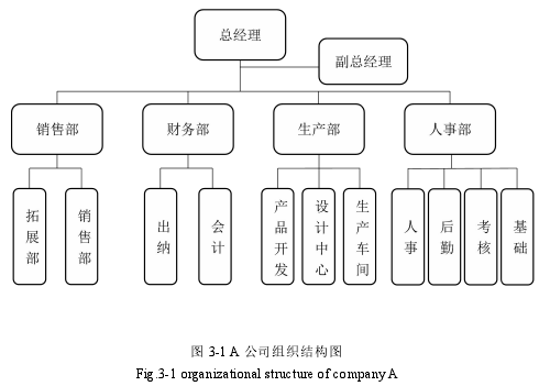 图 3-1 A 公司组织结构图