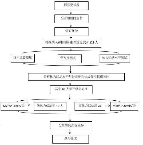 技术路线