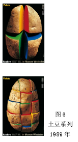 图 6土豆系列1989 年