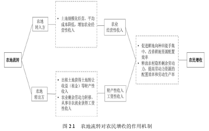 图 2.1 农地流转对农民增收的作用机制