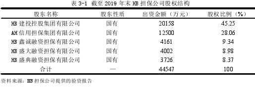 表 3-1 截至 2019 年末 HB 担保公司股权结构