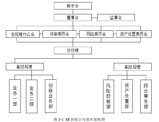 图 3-1 HB 担保公司组织架构图