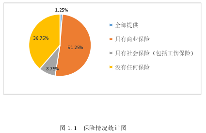 图 1.1 保险情况统计图