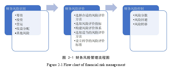 图 2-1 财务风险管理流程图