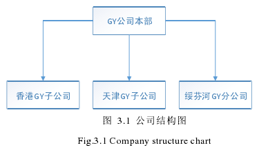 图 3.1 公司结构图