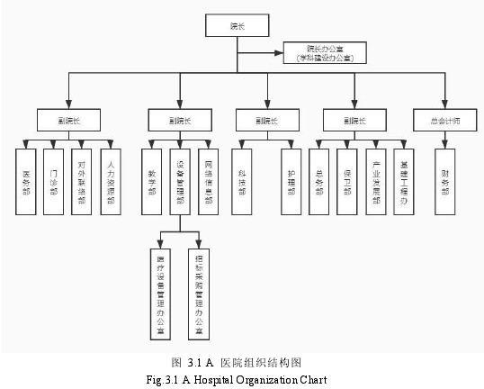 图 3.1 A 医院组织结构图