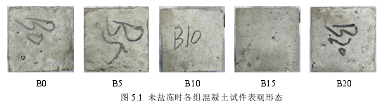 图 5.1 未盐冻时各组混凝土试件表观形态