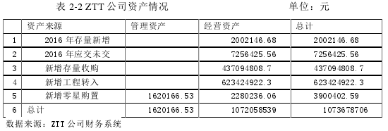 表 2-2 ZTT 公司资产情况