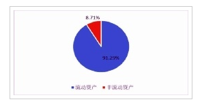 SL公司资产分布