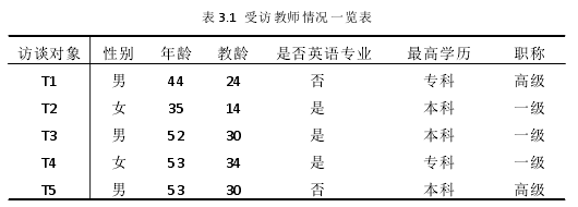 表 3.1 受访教师情况一览表