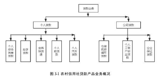 图 3-1 农村信用社贷款产品业务概况