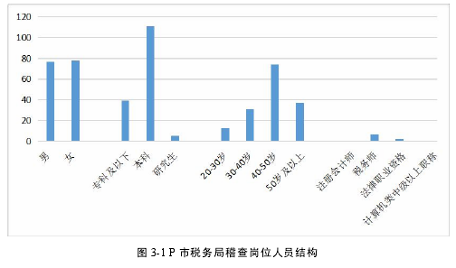 图 3-1 P 市税务局稽查岗位人员结构