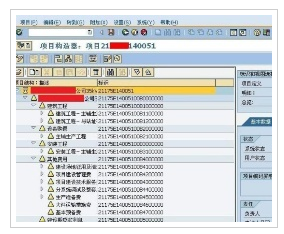 SAP项目构造器操作界面