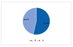 消费者性别比例