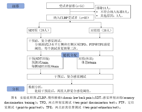 图 5 实验流程图