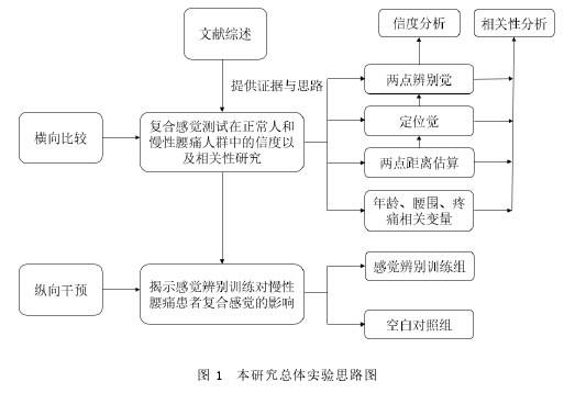 图 1 本研究总体实验思路图