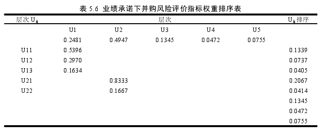 表 5.6 业绩承诺下并购风险评价指标权重排序表