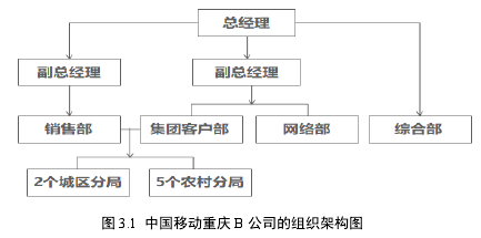 图 3.1  中国移动重庆 B 公司的组织架构图 