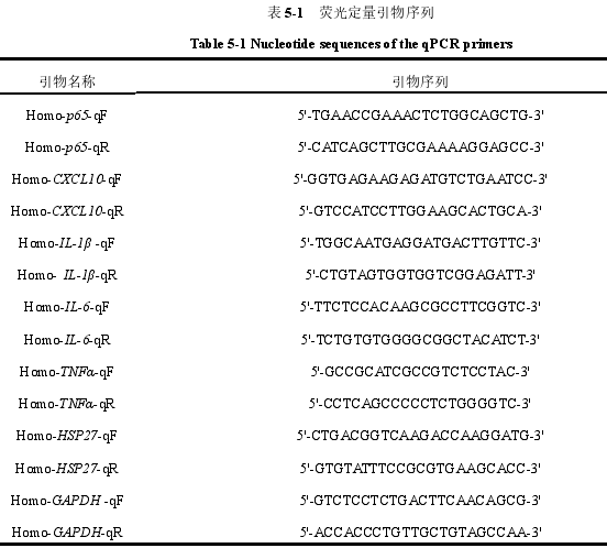 表 5-1 荧光定量引物序列
