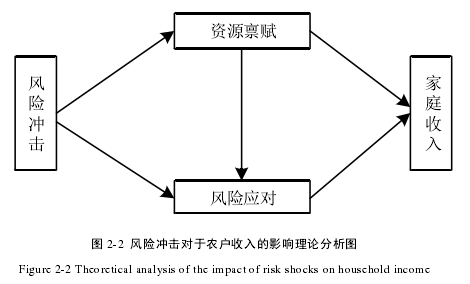 图 2-2  风险冲击对于农户收入的影响理论分析图
