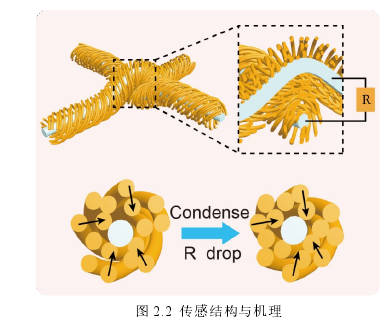 图 2.2  传感结构与机理