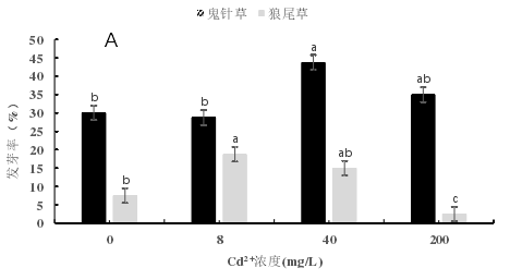 图 2.1 不同质量浓度镉胁迫下鬼针草和狼尾草的发芽率、发芽势变化 