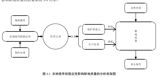 图 3-1  农地使用权稳定性影响耕地质量的分析框架图