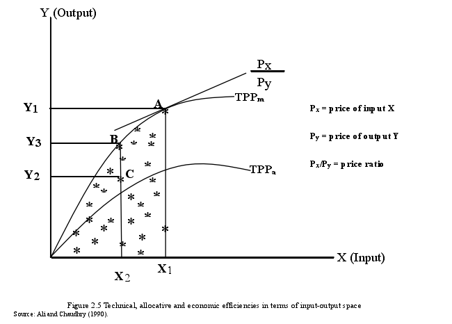 Figure 2.5 Technical, allocative and economic efficiencies in terms of input-output space