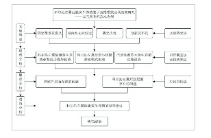 技术路线图