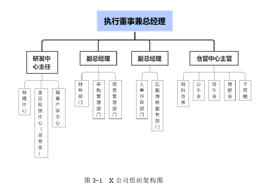 图 3-1  X 公司组织架构图 