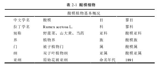     表 2-1  酸模植物 