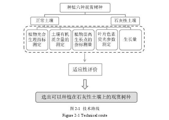 图 2-1 技术路线