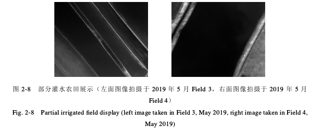 图 2-8 部分灌水农田展示（左面图像拍摄于 2019 年 5 月 Field 3，右面图像拍摄于 2019 年 5 月Field 4）