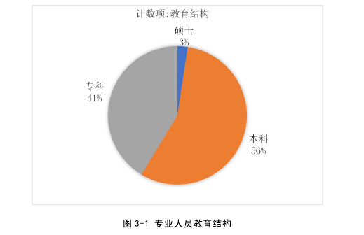 图 3-1 专业人员教育结构