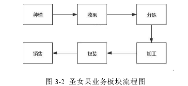 图 3-2 圣女果业务板块流程图