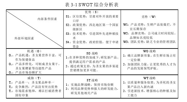 表 3-1 SWOT 综合分析表