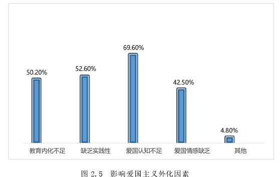 图 2.5 影响爱国主义外化因素