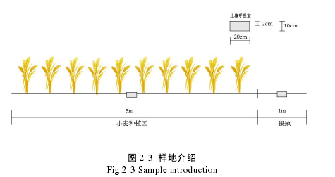 图 2-3  样地介绍 