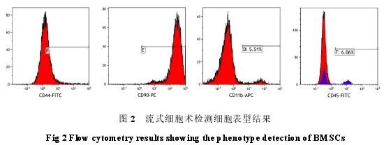 图 2 流式细胞术检测细胞表型结果
