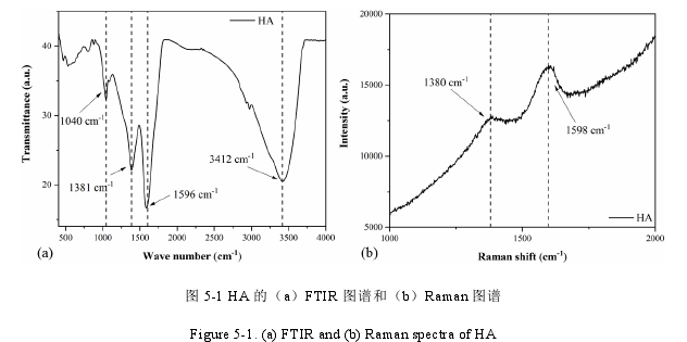 图 5-1 HA 的（a）FTIR 图谱和（b）Raman 图谱 