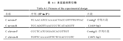 表  4-1  本实验所用引物 