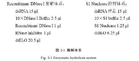 图 2-1  酶解体系 