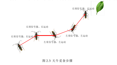 计算机论文范文参考