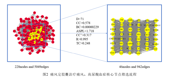 药学论文怎么写