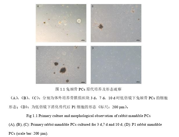 口腔医学论文参考