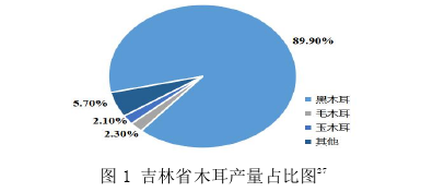 品牌管理论文怎么写